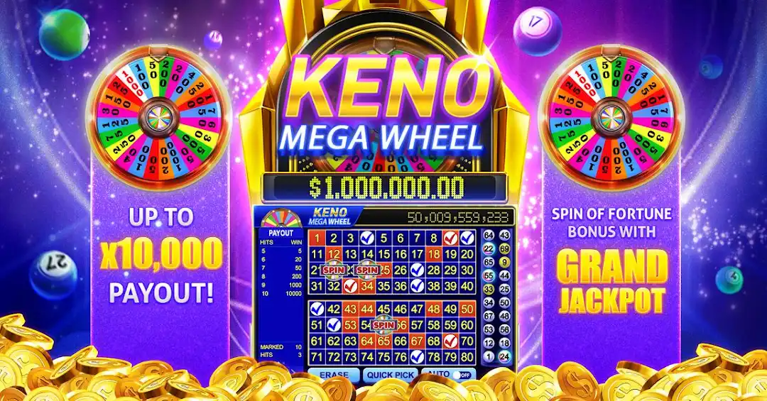 pg8bet betanp cassino entretenimento