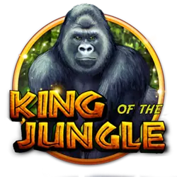 pg8bet 1928 bet cassino Terminal móvel